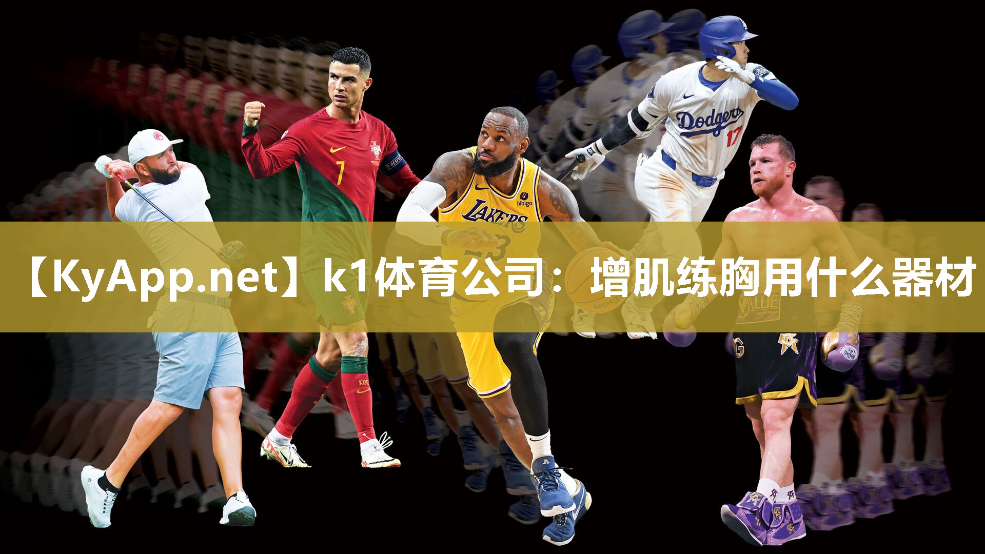 k1体育公司:增肌练胸用什么器材