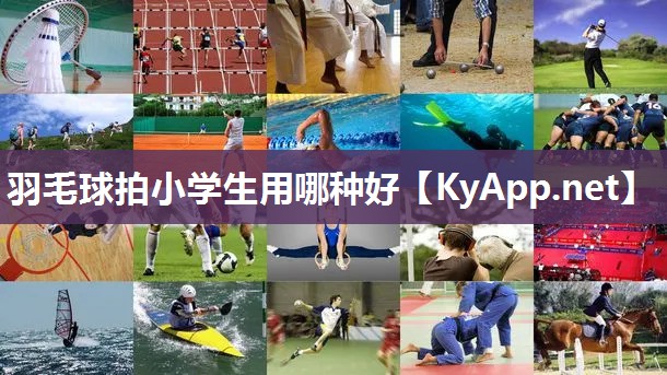羽毛球拍小学生用哪种好