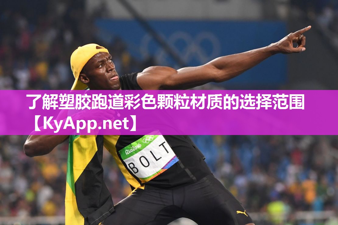 了解塑胶跑道彩色颗粒材质的选择范围