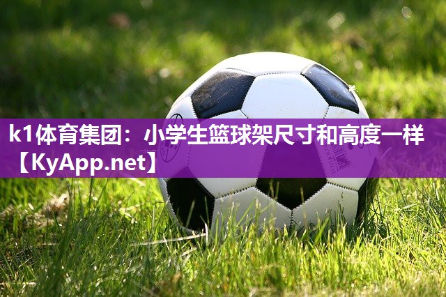 k1体育集团:小学生篮球架尺寸和高度一样