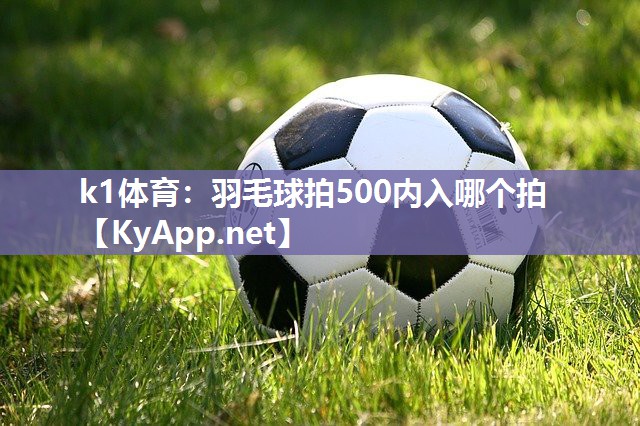 k1体育:羽毛球拍500内入哪个拍