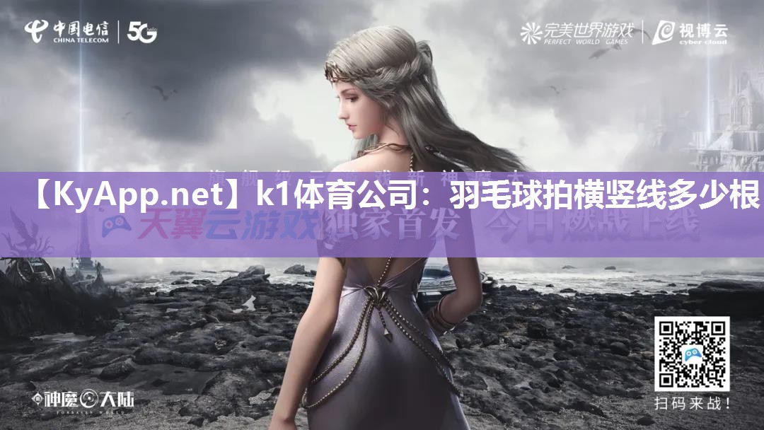羽毛球拍横竖线多少根