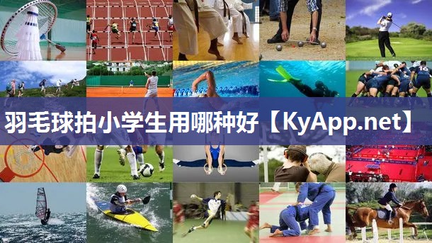 羽毛球拍小学生用哪种好