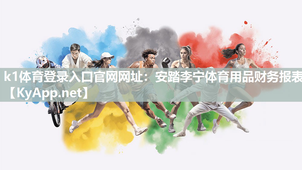 安踏李宁体育用品财务报表