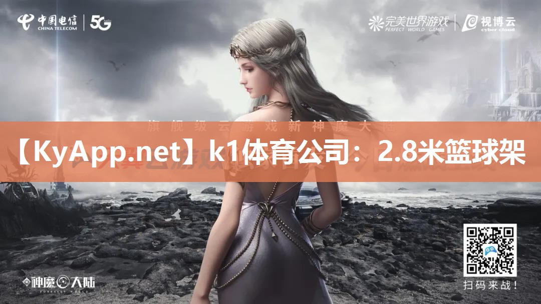 2.8米篮球架