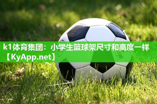 小学生篮球架尺寸和高度一样