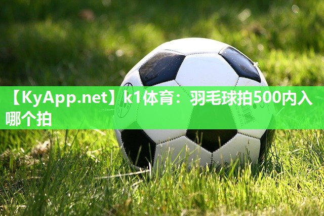 羽毛球拍500内入哪个拍