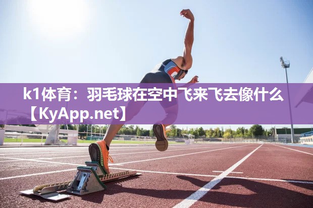 羽毛球在空中飞来飞去像什么