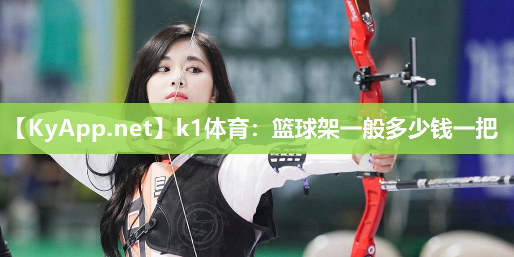 篮球架一般多少钱一把