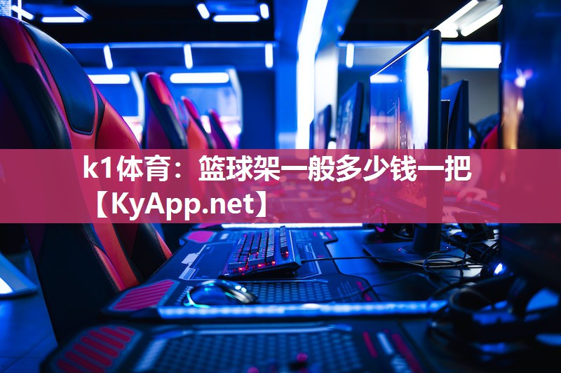 篮球架一般多少钱一把